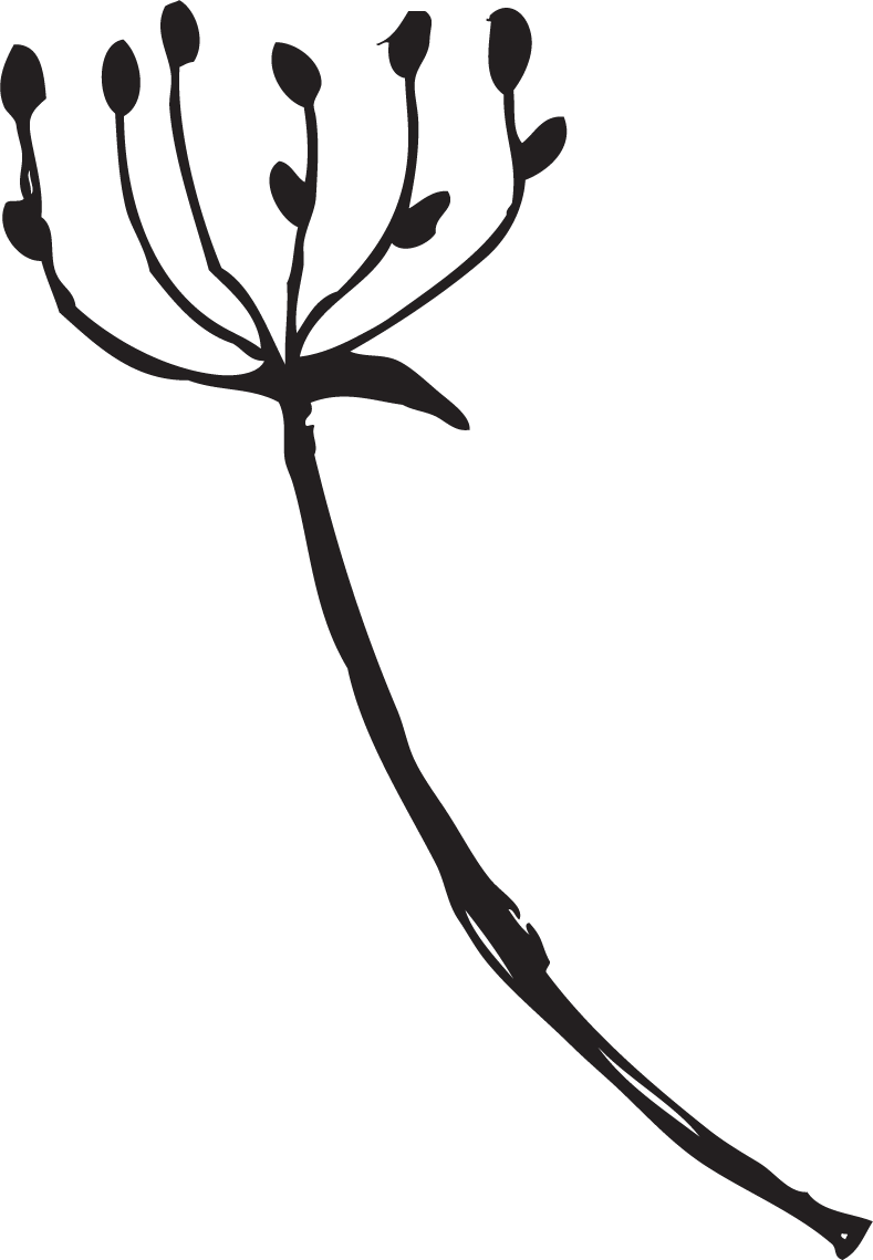 Details for Writing a Theatre Review with HEART&nbsp;!