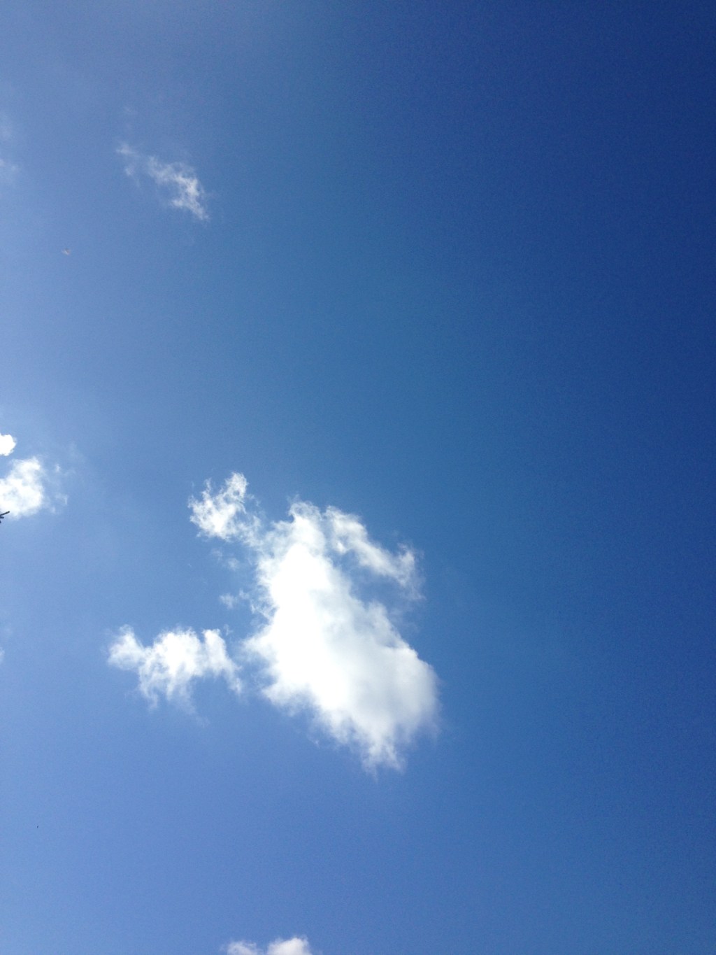 5 ways to cope with Edfringe&nbsp;Cancellation